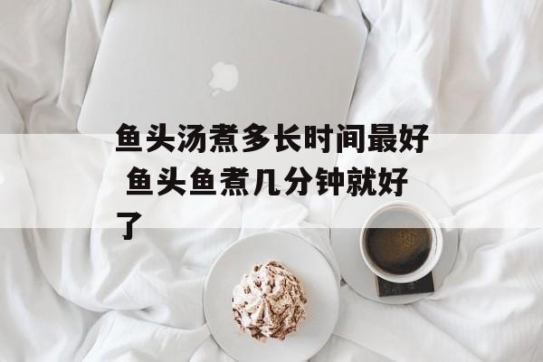 鱼头汤煮多长时间最好 鱼头鱼煮几分钟就好了-第1张图片-