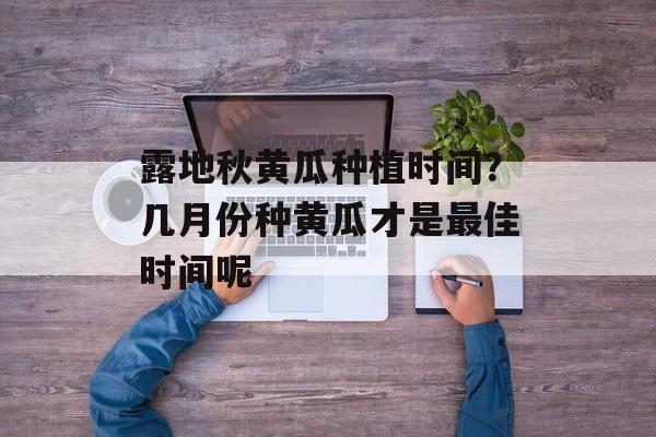 露地秋黄瓜种植时间？几月份种黄瓜才是最佳时间呢-第1张图片-