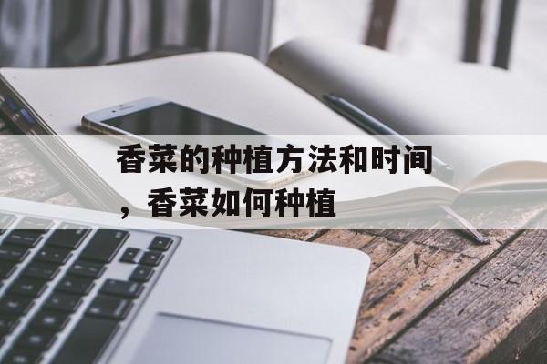 香菜的种植方法和时间，香菜如何种植-第1张图片-