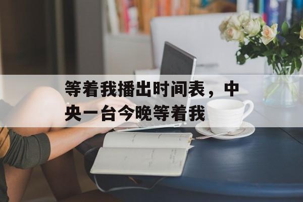 等着我播出时间表，中央一台今晚等着我-第1张图片-