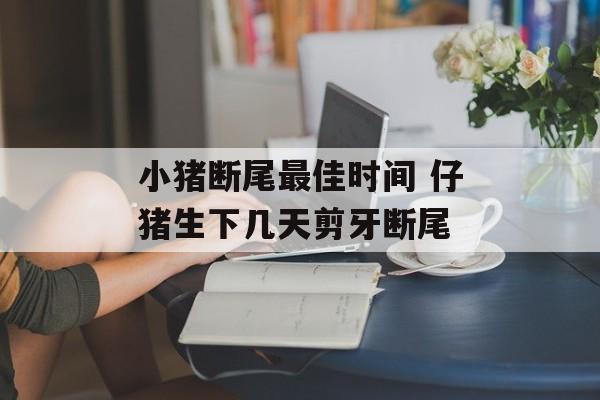 小猪断尾最佳时间 仔猪生下几天剪牙断尾-第1张图片-