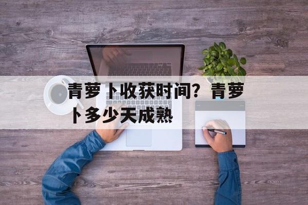 青萝卜收获时间？青萝卜多少天成熟-第1张图片-