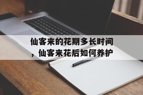仙客来的花期多长时间，仙客来花后如何养护-第1张图片-
