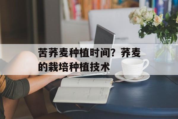 苦荞麦种植时间？荞麦的栽培种植技术-第1张图片-