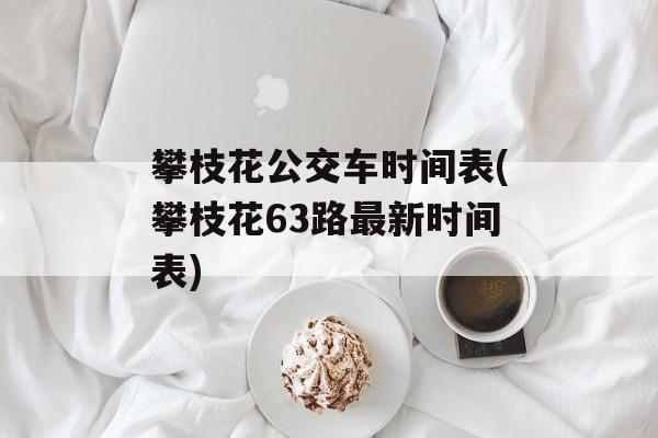 攀枝花公交车时间表(攀枝花63路最新时间表)-第1张图片-