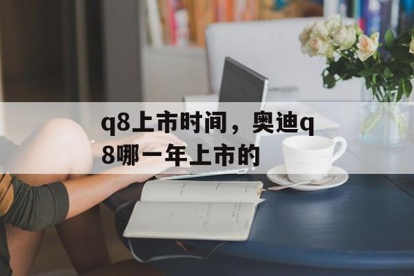 q8上市时间，奥迪q8哪一年上市的-第1张图片-
