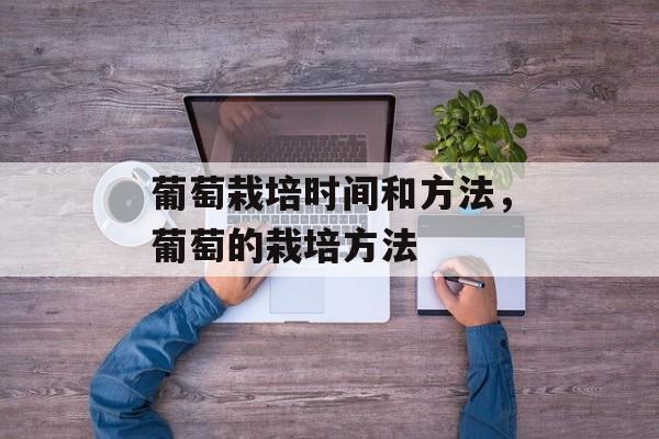 葡萄栽培时间和方法，葡萄的栽培方法-第1张图片-