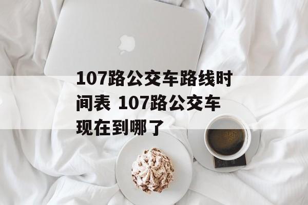 107路公交车路线时间表 107路公交车现在到哪了-第1张图片-