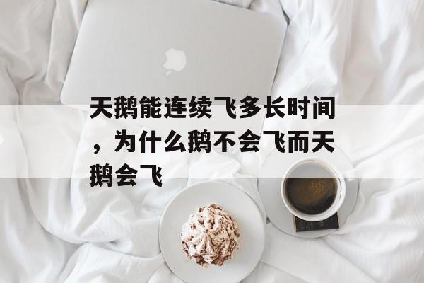 天鹅能连续飞多长时间，为什么鹅不会飞而天鹅会飞-第1张图片-
