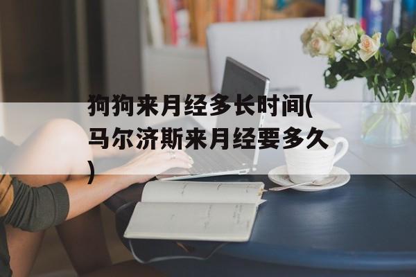 狗狗来月经多长时间(马尔济斯来月经要多久)-第1张图片-