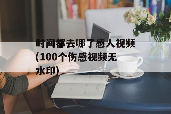 时间都去哪了感人视频(100个伤感视频无水印)-第1张图片-