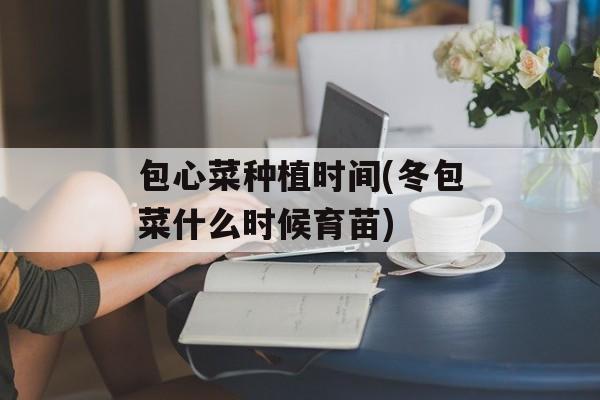包心菜种植时间(冬包菜什么时候育苗)-第1张图片-