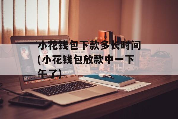 小花钱包下款多长时间(小花钱包放款中一下午了)-第1张图片-