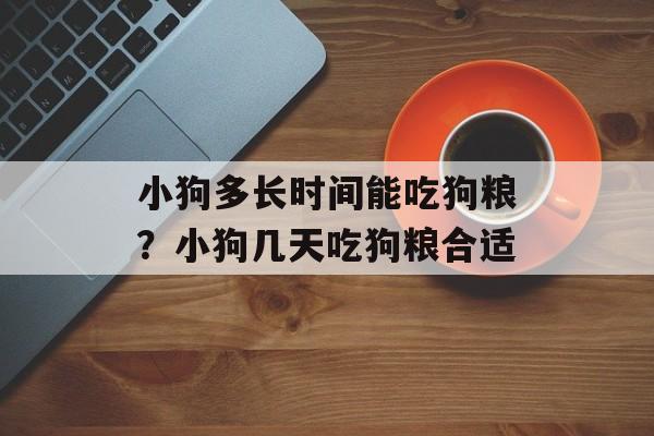小狗多长时间能吃狗粮？小狗几天吃狗粮合适-第1张图片-