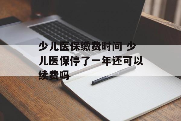 少儿医保缴费时间 少儿医保停了一年还可以续费吗-第1张图片-