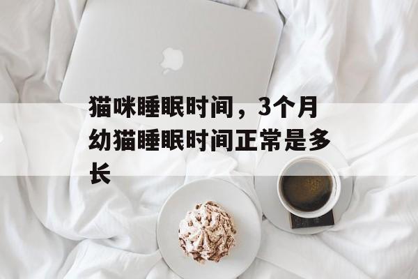 猫咪睡眠时间，3个月幼猫睡眠时间正常是多长-第1张图片-