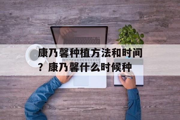 康乃馨种植方法和时间？康乃馨什么时候种-第1张图片-