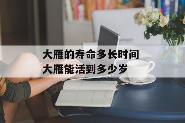 大雁的寿命多长时间 大雁能活到多少岁-第1张图片-