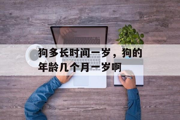 狗多长时间一岁，狗的年龄几个月一岁啊-第1张图片-