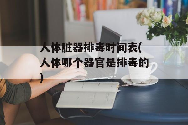 人体脏器排毒时间表(人体哪个器官是排毒的)-第1张图片-