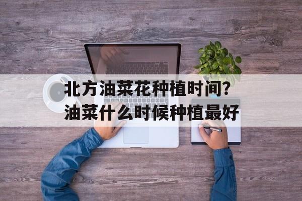 北方油菜花种植时间？油菜什么时候种植最好-第1张图片-