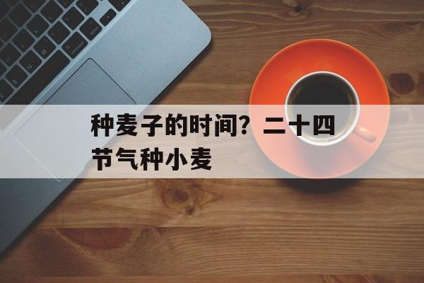 种麦子的时间？二十四节气种小麦-第1张图片-