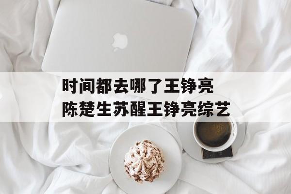 时间都去哪了王铮亮 陈楚生苏醒王铮亮综艺-第1张图片-