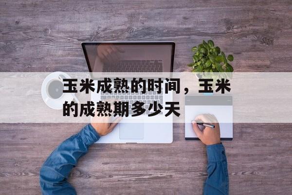 玉米成熟的时间，玉米的成熟期多少天-第1张图片-