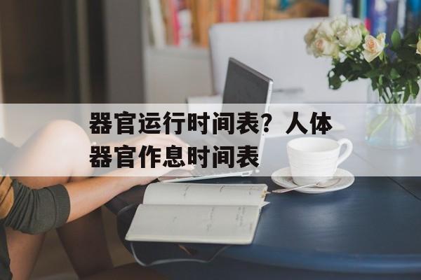 器官运行时间表？人体器官作息时间表-第1张图片-