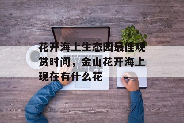 花开海上生态园最佳观赏时间，金山花开海上现在有什么花-第1张图片-