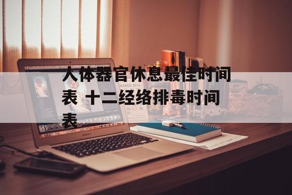 人体器官休息最佳时间表 十二经络排毒时间表-第1张图片-