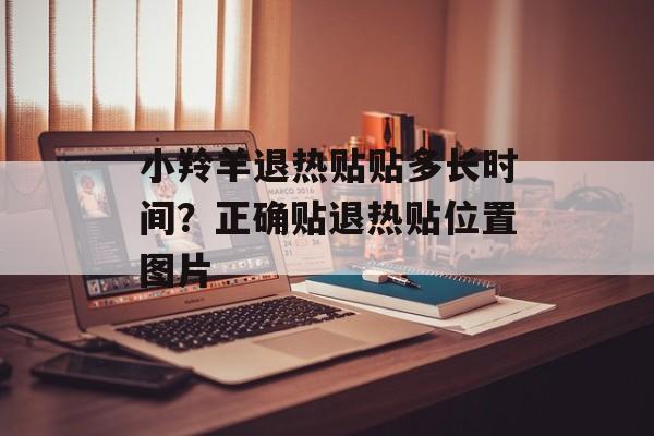 小羚羊退热贴贴多长时间？正确贴退热贴位置图片-第1张图片-