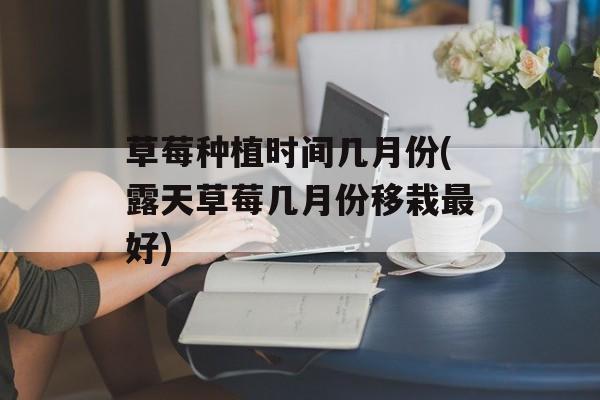 草莓种植时间几月份(露天草莓几月份移栽最好)-第1张图片-