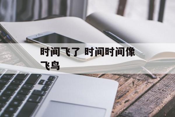 时间飞了 时间时间像飞鸟-第1张图片-