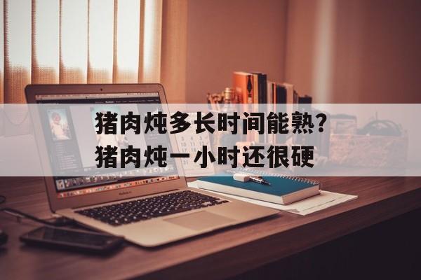 猪肉炖多长时间能熟？猪肉炖一小时还很硬-第1张图片-