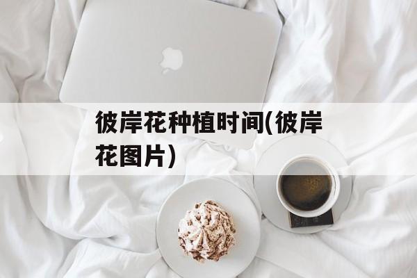 彼岸花种植时间(彼岸花图片)-第1张图片-