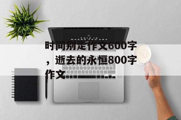 时间别走作文600字，逝去的永恒800字作文-第1张图片-