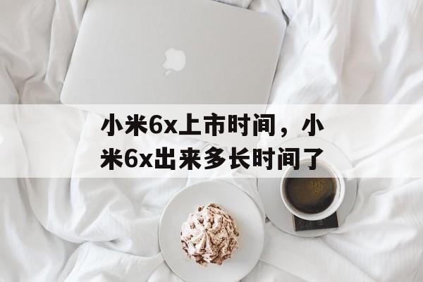 小米6x上市时间，小米6x出来多长时间了-第1张图片-