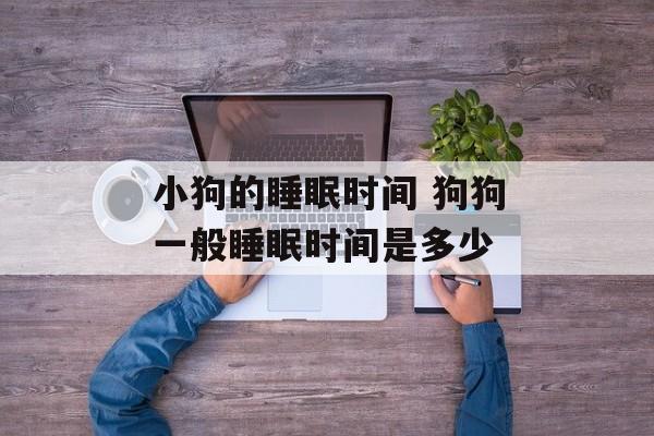 小狗的睡眠时间 狗狗一般睡眠时间是多少-第1张图片-