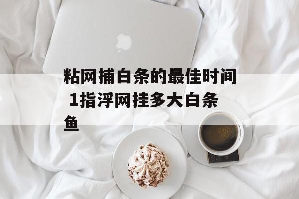 粘网捕白条的最佳时间 1指浮网挂多大白条鱼-第1张图片-