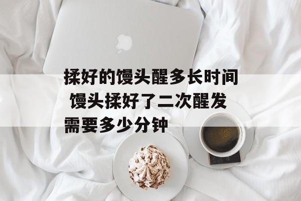 揉好的馒头醒多长时间 馒头揉好了二次醒发需要多少分钟-第1张图片-