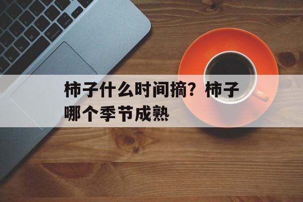 柿子什么时间摘？柿子哪个季节成熟-第1张图片-