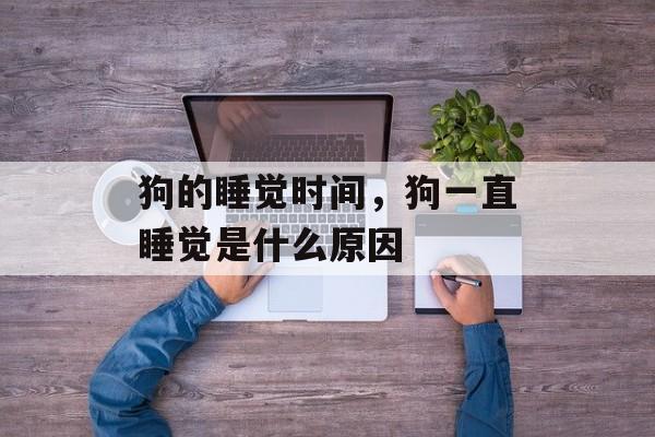 狗的睡觉时间，狗一直睡觉是什么原因-第1张图片-