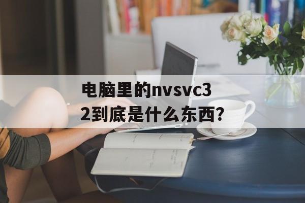 电脑里的nvsvc32到底是什么东西?-第1张图片- 电脑里的nvsvc32到底是什么东西?-第1张图片-